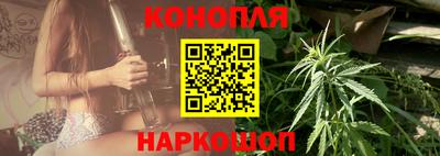 прущие крисы Камышлов