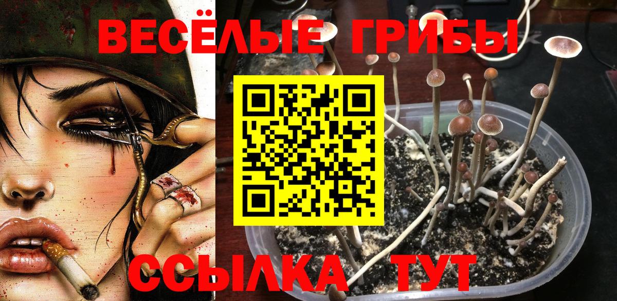 Ленинск-Кузнецкий  Галлюциногенные грибы мицелий  как найти наркотики  Вход с VPN 