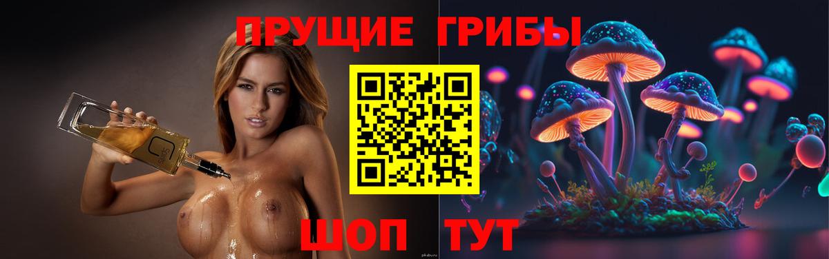 Галлюциногенные грибы GOLDEN TEACHER Ленинск-Кузнецкий